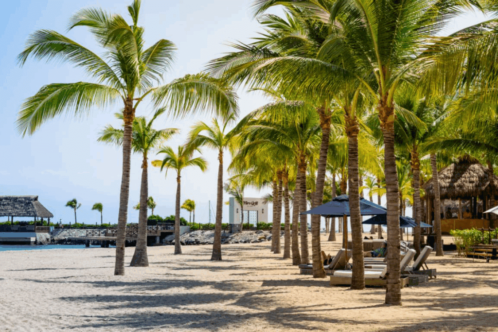 Kovay Gardens Reviews A Hidden Paradise in Nayarit, Mexico (4)