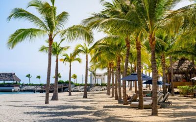 Kovay Gardens Reviews Highlight What Guests Love About the Resort