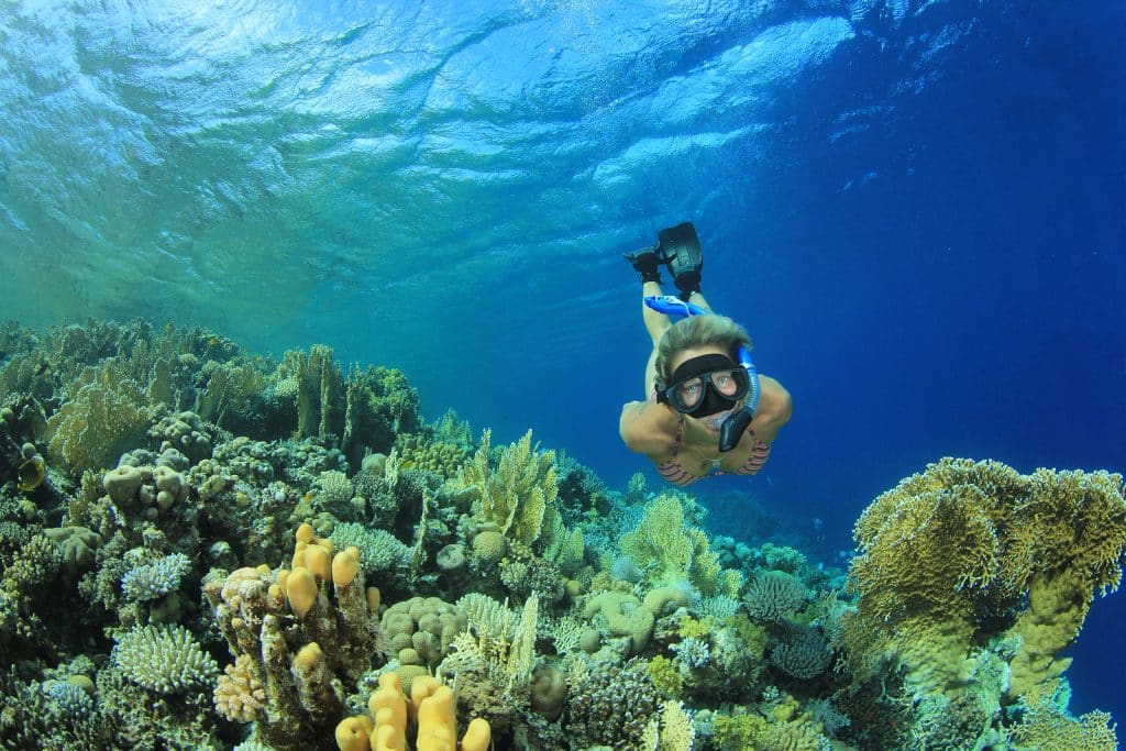 Kovay Gardens Reviews Local Sea Adventures