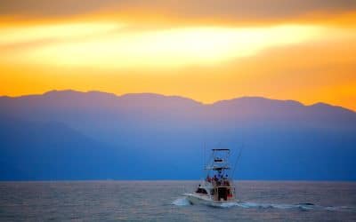 Kovay Gardens Reviews Local Sea Adventures